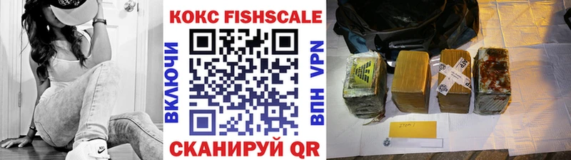 Кокаин FishScale  купить наркотик  Яранск 