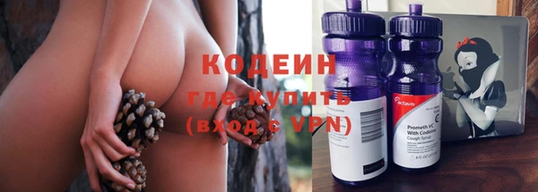 крисы Абаза