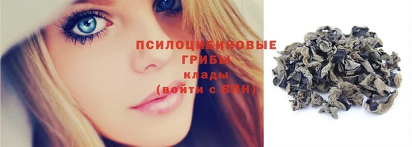 крисы Абаза