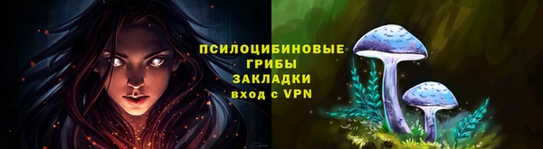 крисы Абаза