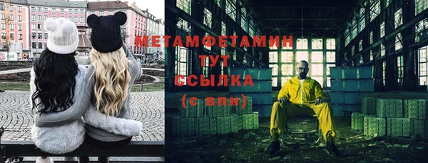 крисы Абаза