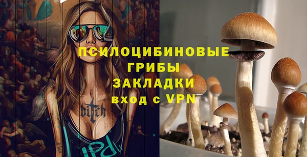 крисы Абаза